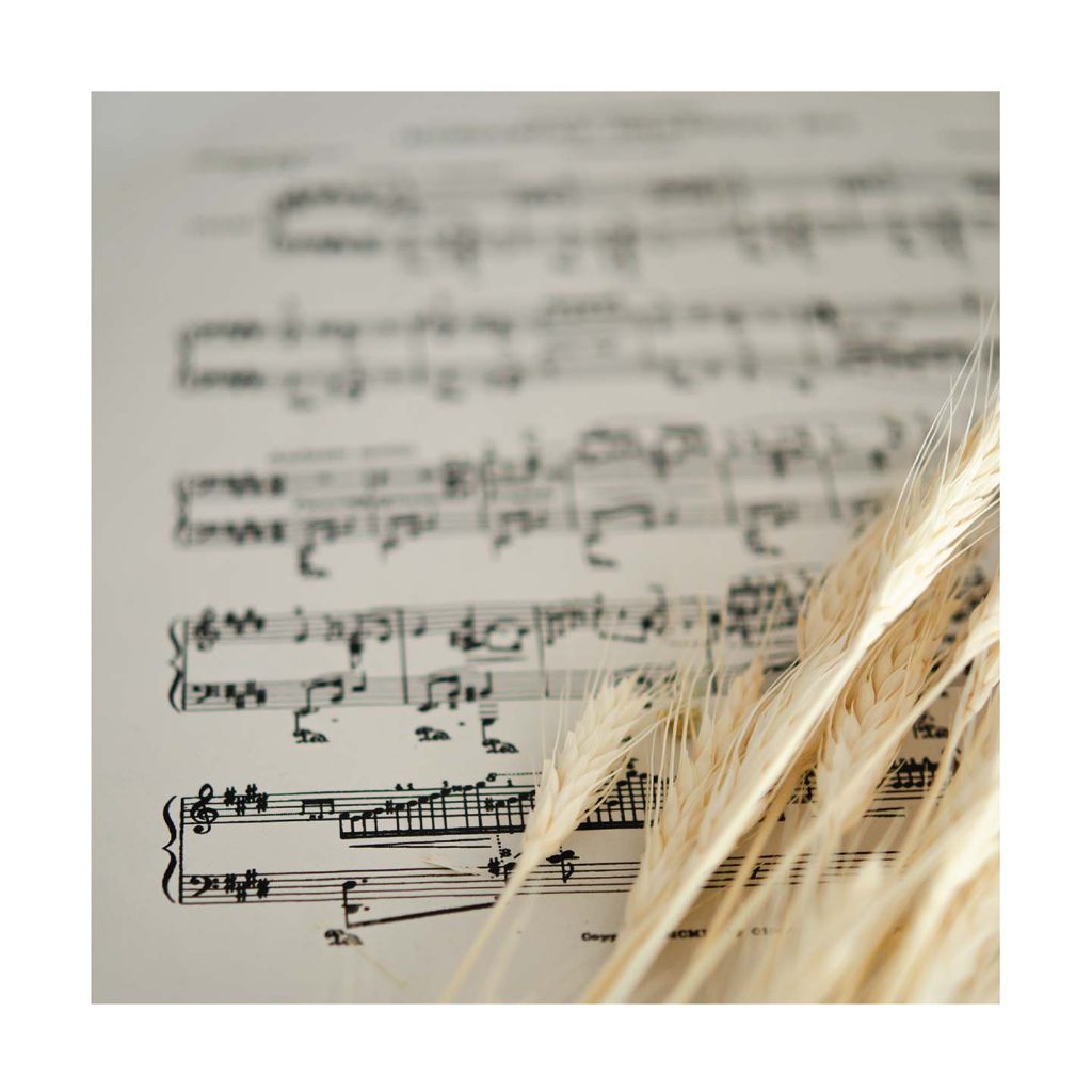 insta frame-02